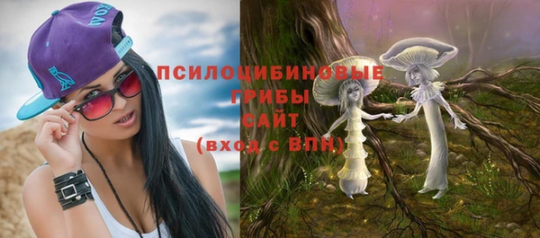 бошки Нягань