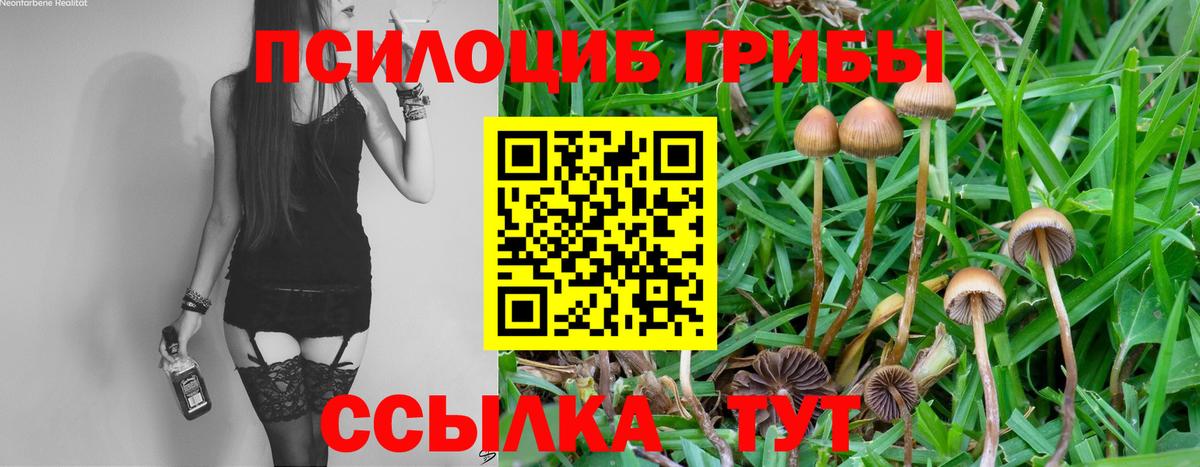Галлюциногенные грибы прущие грибы Пыть-Ях